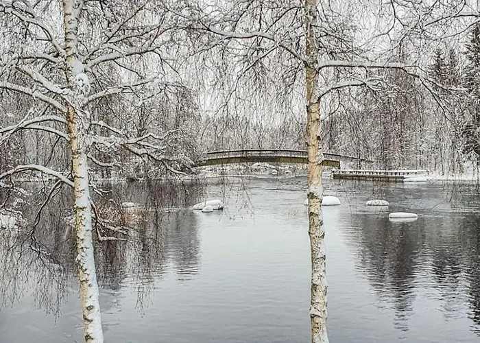 Hartolan Ilo By Interhome * Koskipaa